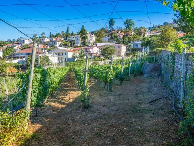 Quinta de Santa Luzia