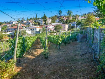 Quinta de Santa Luzia