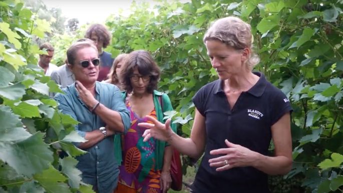 More info & Bookings