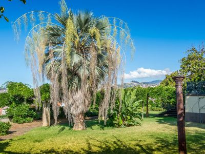 Quinta de Santa Luzia